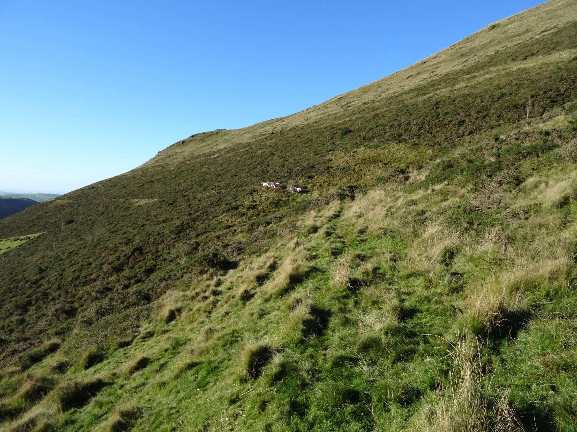 RachelSeabrook.net | Wild Walking | Moel y Llyn | pic07